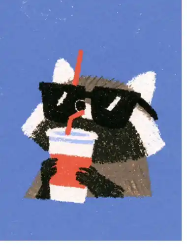 Ilustración de un mapache con gafas de sol bebiendo un refresco